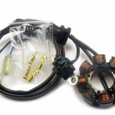 STATOR / NAMOTAJI / ALTERNATOR - ELECTREX <br>* HONDA CRF 250 / 2004-2009, CRF 450 / 2002-2009