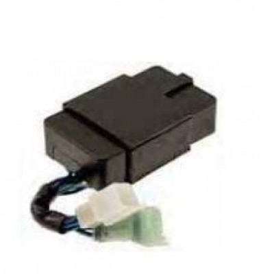 CENTRALNA ELEKTRONIKA RMS